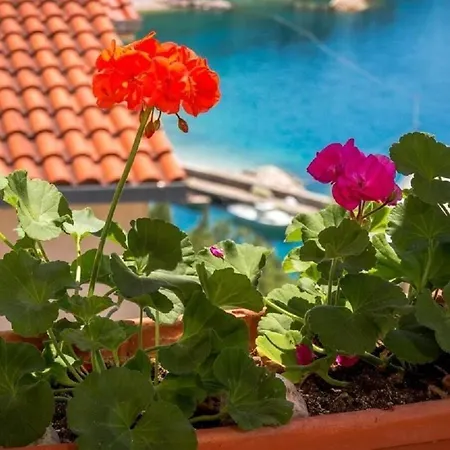 Davor Apartment *